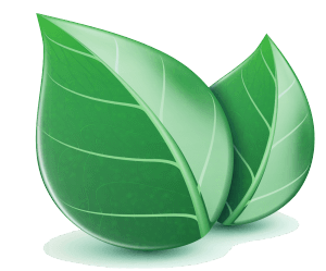 green-web-hosting-hero